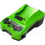 Зарядное устройство Greenworks G24C в Москве