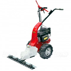 Бензиновая сенокосилка Eurosystems Minieffe 502 RM B&#38;S 625EXi в Москве