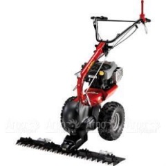 Бензиновая сенокосилка Eurosystems P-70 EVO B&#38;S 850E Series в Москве