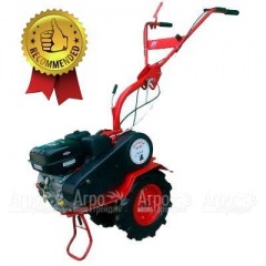 Мотоблок Агат БС-6.5 с двигателем Briggs&Stratton RS 6.5 л.с. (фрезы в комплекте) в Москве