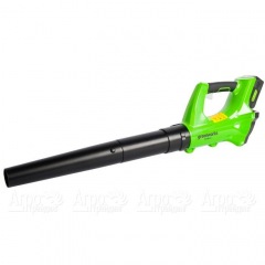 Воздуходувка аккумуляторная GreenWorks G24ABK2 в Москве