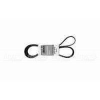 Pubert 0306030002 Ремень привода для ECO, ELITE, PRIMO (с реверсом) 5718 в Москве