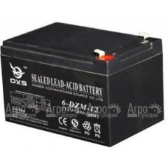 Аккумулятор Champion C3501 в Москве