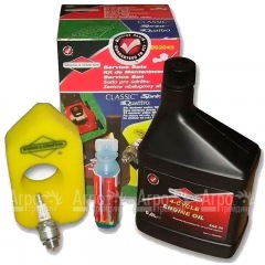 Набор для техобслуживания двигателей Briggs&Stratton Classic, Sprint 992049 в Москве