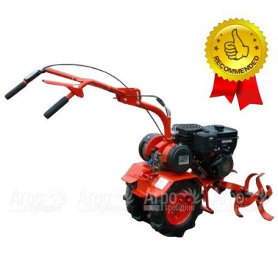 Инструкция по эксплуатации мотоблок салют 5р-6