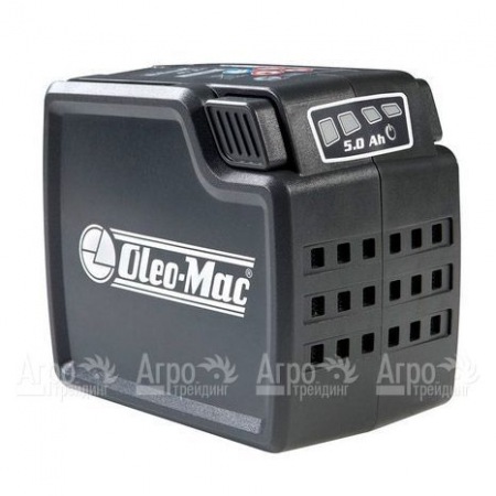 Аккумулятор Oleo-Mac 5 Ач 40 В  в Москве