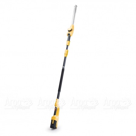 Высоторез аккумуляторный Champion PPB360 в Москве