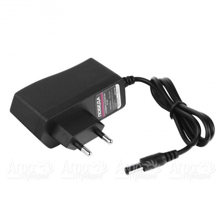 Зарядное устройство ЗУ120 для триммера Победа TA120 в Москве