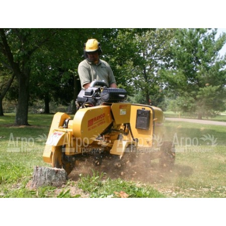 Измельчитель пней Rayco Super RG 50 в Москве