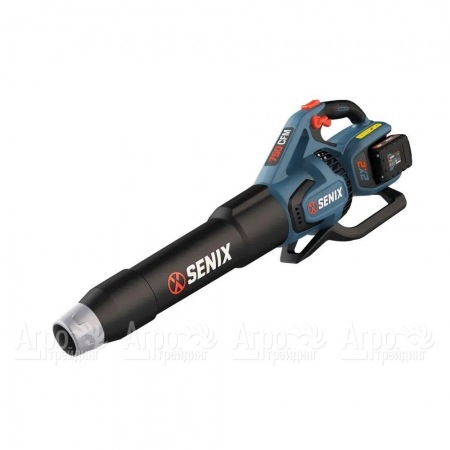 Воздуходувка аккумуляторная Senix BLAX2-M2-EU в Москве