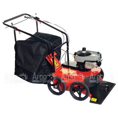 Садовый пылесос Echo Bear Cat WV190 в Москве