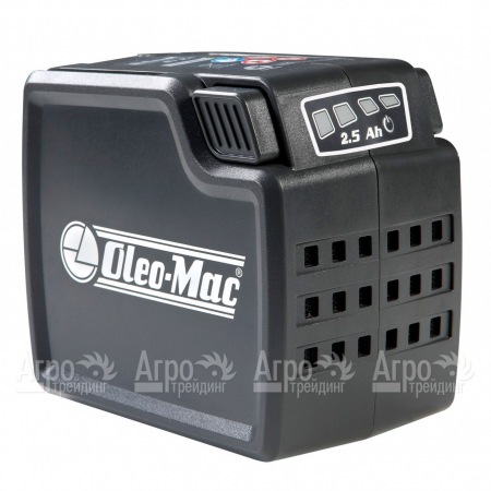 Аккумулятор Oleo-Mac 2.5 Ач 40 В  в Москве