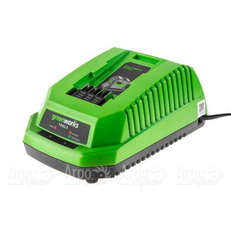 Зарядное устройство Greenworks G40C  в Москве