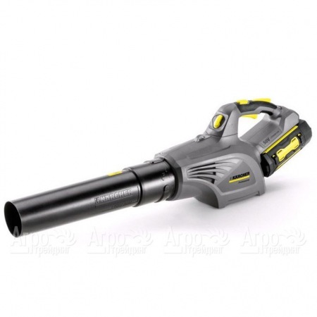 Воздуходувка аккумуляторная Karcher LB 850 Bp в Москве