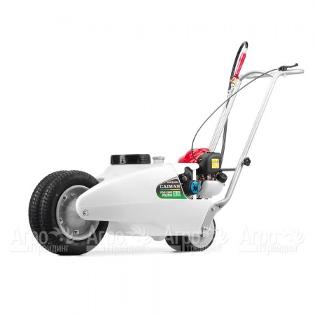 Опрыскиватель бензиновый Caiman Fog King PS25W в Москве