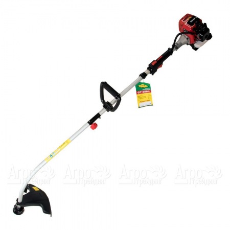 Бензокоса (бензиновый триммер) DDE GT250L  в Москве