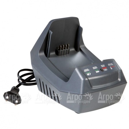 Зарядное устройство Oleo-Mac  в Москве