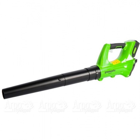 Воздуходувка аккумуляторная GreenWorks G24ABK2 в Москве