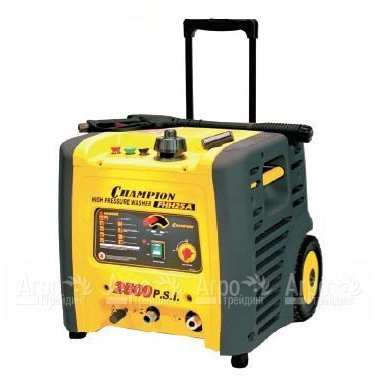 Мойка бензиновая CHAMPION FHH25A  в Москве
