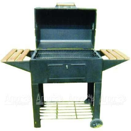 Гриль-барбекю Green Glade YD-Garden Grill в Москве