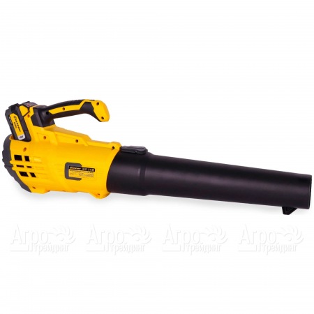 Воздуходувка аккумуляторная Champion BB1821  в Москве