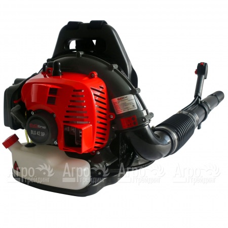 Воздуходувка бензиновая EVOline BLG 42 BP  в Москве
