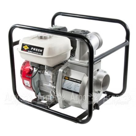 Бензиновая мотопомпа DDE PN80H в Москве