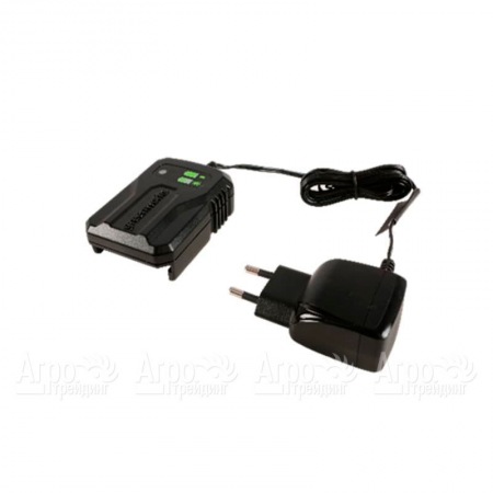 Зарядное устройство G24UC2 для моделей Greenworks 24 В  в Москве
