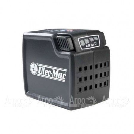 Аккумулятор 2.5 для Oleo-Mac GSi 30, BCi 30, BVi 60, HCi 45  в Москве