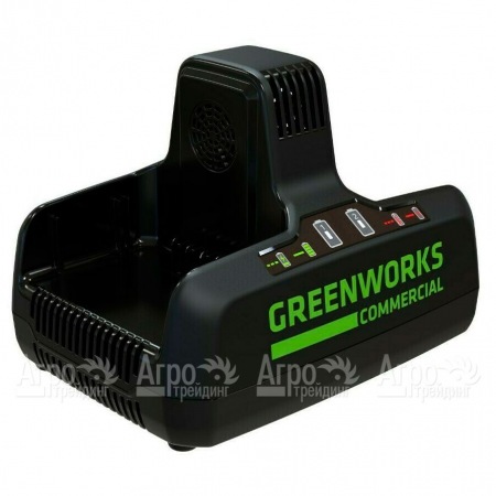 Быстрое зарядное устройство GreenWorks G82C2  в Москве