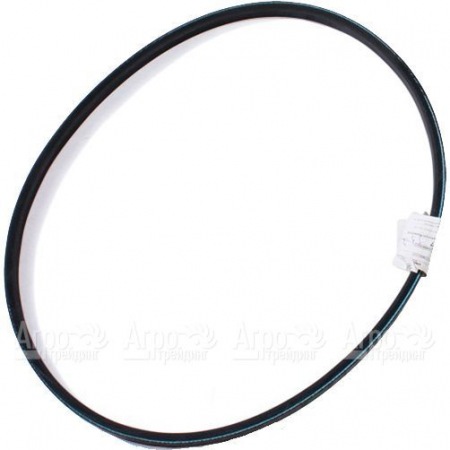 Ремень привода щетки G07352016 для подметальных машин AS-Motor AS 30 в Москве