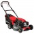 Газонокосилка бензиновая EVOline LMG 51 CS в Москве