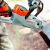 Аккумуляторная пила Stihl MSA 140 C-BQ-12 в Москве