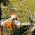 Аккумуляторная пила Stihl MSA 220 C-B-16" (без аккумулятора и зарядного устройства) в Москве