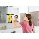 Стеклоочиститель Karcher WV 5 Premium в Москве