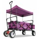 Тележка ручная Fuxtec CT-350P с навесом фиолетовая в Москве
