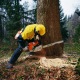 Бензопила Stihl MS 880-47&quot; в Москве