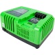Быстрое зарядное устройство Greenworks G40UC5 в Москве
