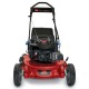 Газонокосилка бензиновая Toro 20092C в Москве