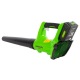 Воздуходувка аккумуляторная GreenWorks G24ABK2 в Москве