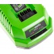 Зарядное устройство Greenworks G40C в Москве